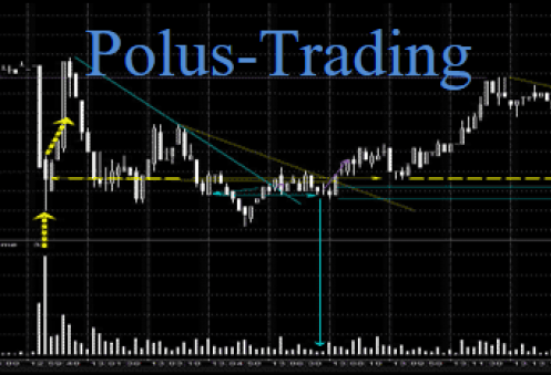 Курс Анвара Садыкова polus-trading 4 и 5 финальная_0.png